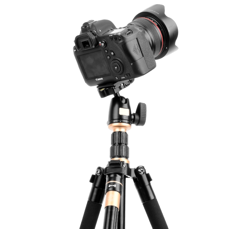 QZSD Q555 141cm 8kg Makro Noge - 8